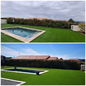 Photo de galerie - Taille de haie. 