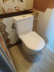 Photo de galerie - Pose de WC