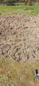 Photo de galerie - Jardinier