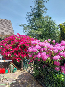 Photo de galerie - Paysagiste - Aménagement du jardin