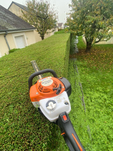 Photo de galerie - Taille 