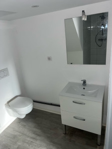 Photo de galerie - Rénovation