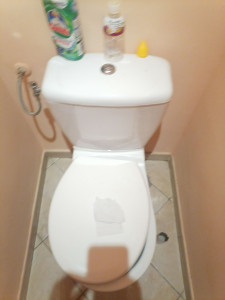 Photo de galerie - Mécanisme WC changer plombier de métier 