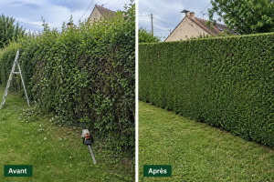 Photo de galerie - Avant après 