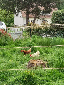 Photo de galerie - Garde animaux