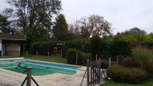 Photo de galerie - Paysagiste - Aménagement du jardin