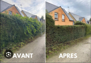 Photo de galerie - Descente de haie