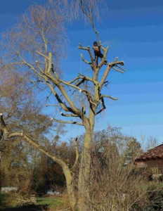 Photo de galerie - Bricolage et multi services