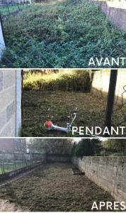 Photo de galerie - Tonte de pelouse - Débroussaillage