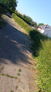 Photo de galerie - Petite avant 