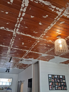 Photo de galerie - Plâtrerie - Murs - Plafonds