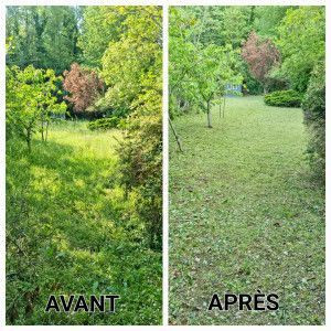 Photo de galerie - Remise en état du jardin.