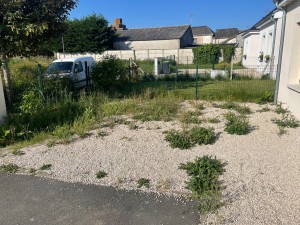 Photo de galerie - Tonte de pelouse - Débroussaillage