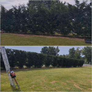 Photo de galerie - .