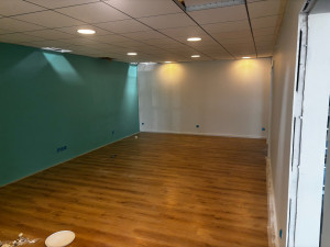Photo de galerie - Ratissage, ponçage et peinture 