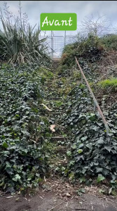 Photo de galerie - Jardinier