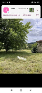 Photo de galerie - Tonte de pelouse - Débroussaillage