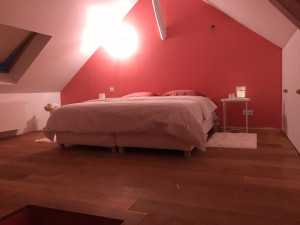 Photo de galerie - Pose de parquet et peinture 
