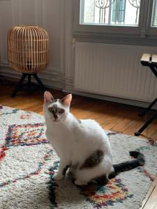 Photo de galerie - Garde de Billie