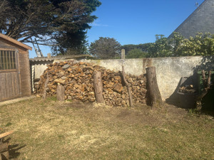 Photo de galerie - Coupe d’arbre est mise en bois de chauffage 