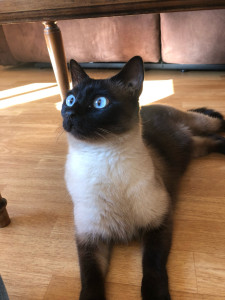 Photo de galerie - .