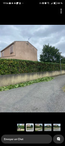 Photo de galerie - Taille haie 