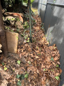 Photo de galerie - Paysagiste - Aménagement du jardin