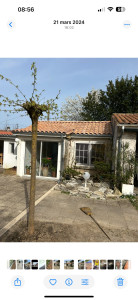 Photo de galerie - Couverture - Toiture