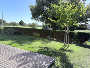 Photo de galerie - Taille de haie et entretien 