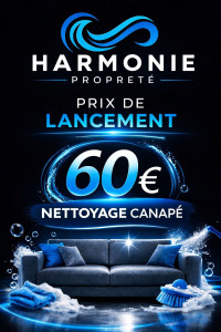 Photo de galerie - Service de nettoyage de canapé 