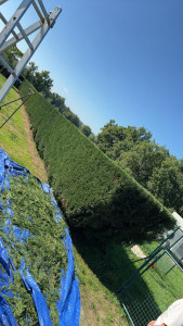 Photo de galerie - Après