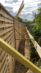 Photo de galerie - Paysagiste