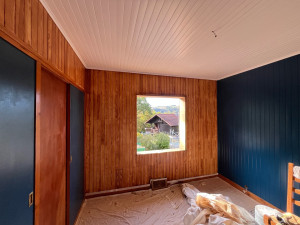 Photo de galerie - J’ai poncé les planches et je les ai peintes avec du lasure.