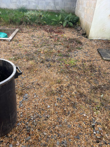 Photo de galerie - Désherbage cour ( avant )