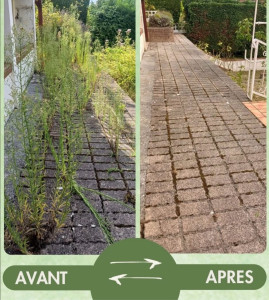 Photo de galerie - Nettoyage débroussaillage