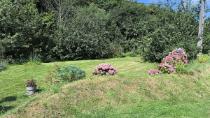 Photo de galerie - Entretien jardin