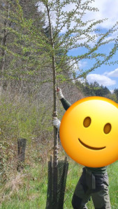 Photo de galerie - Jardinier 