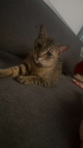 Photo de galerie - Petit moment sympas passés avec ATHENA