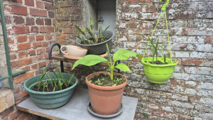 Photo de galerie - Jardinier