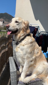 Photo de galerie - Ma petite queen