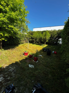 Photo de galerie - Après tonte 