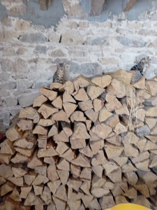 Photo de galerie - Bricolage et multi services
