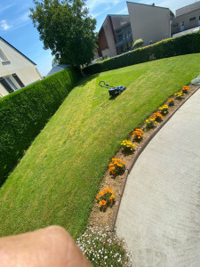 Photo de galerie - Tonte, Bordure, Mauvaise herbes, Créations de parterre 
