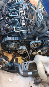 Photo de galerie - Distribution 1.6TDI
