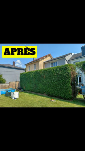 Photo de galerie - 4 m de haut