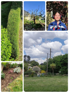 Photo de galerie - Entretien régulier des jardins, rendez-vous d'un mois sur l'autre. 