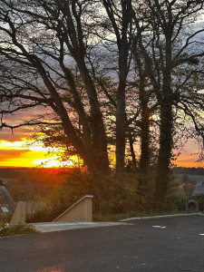 Photo de galerie - Garde animaux