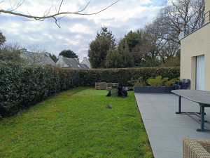 Photo de galerie - Haie eleagnus 