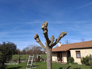 Photo de galerie - Après 