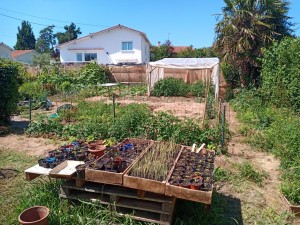 Photo de galerie - Paysagiste - Aménagement du jardin
